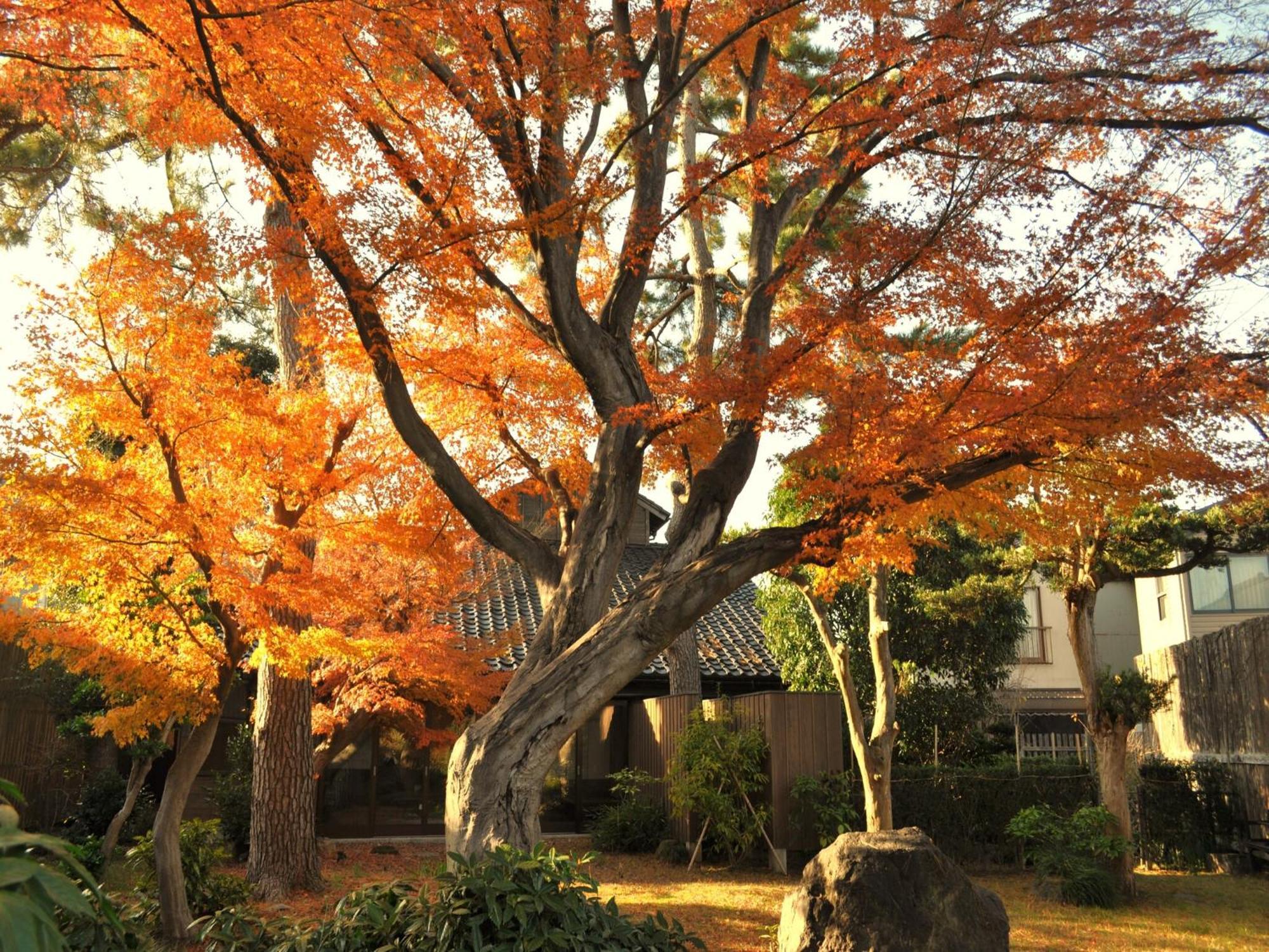 Hotel Machi No Odoriba Kanazawa Exterior foto