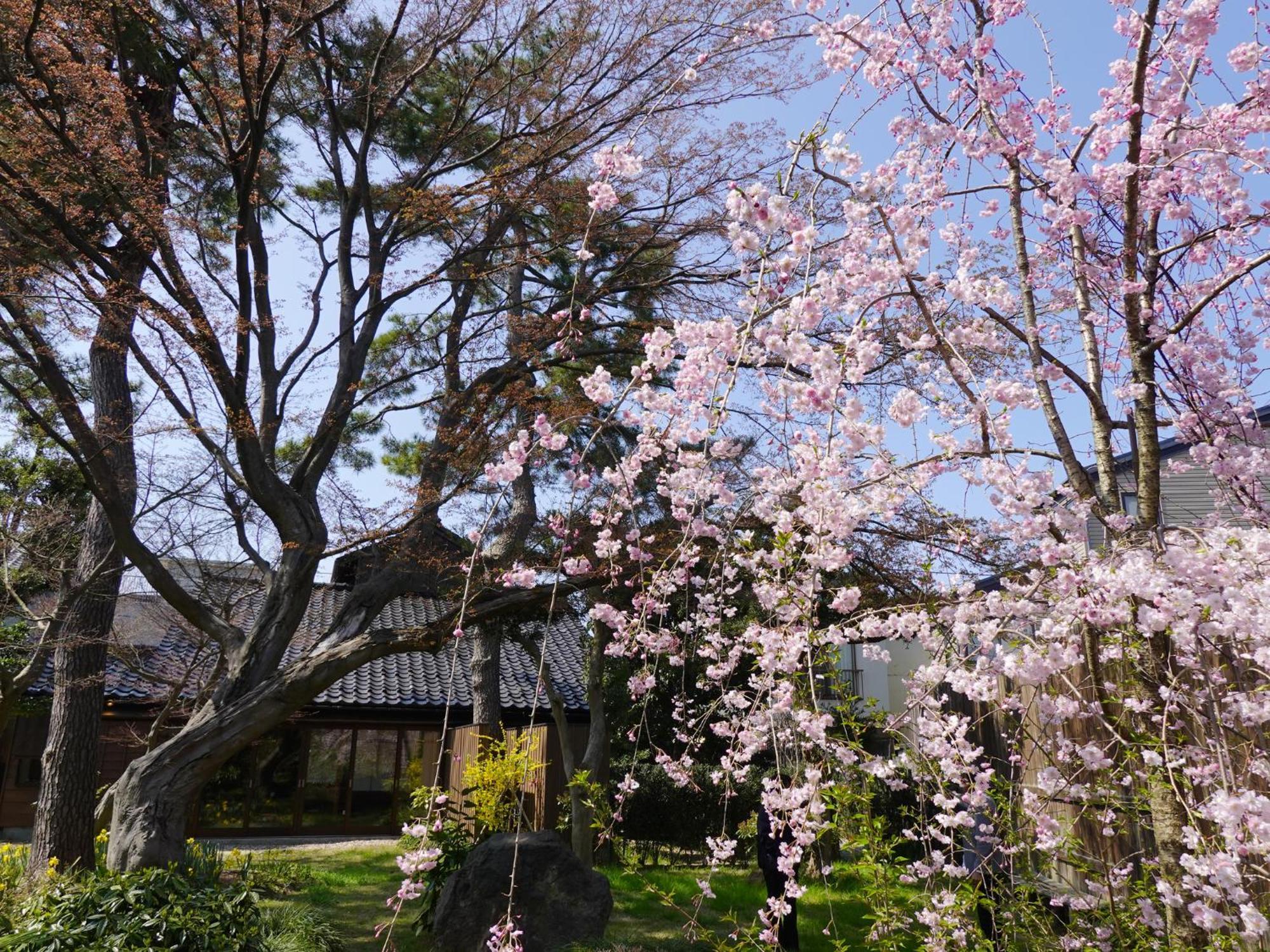 Hotel Machi No Odoriba Kanazawa Exterior foto